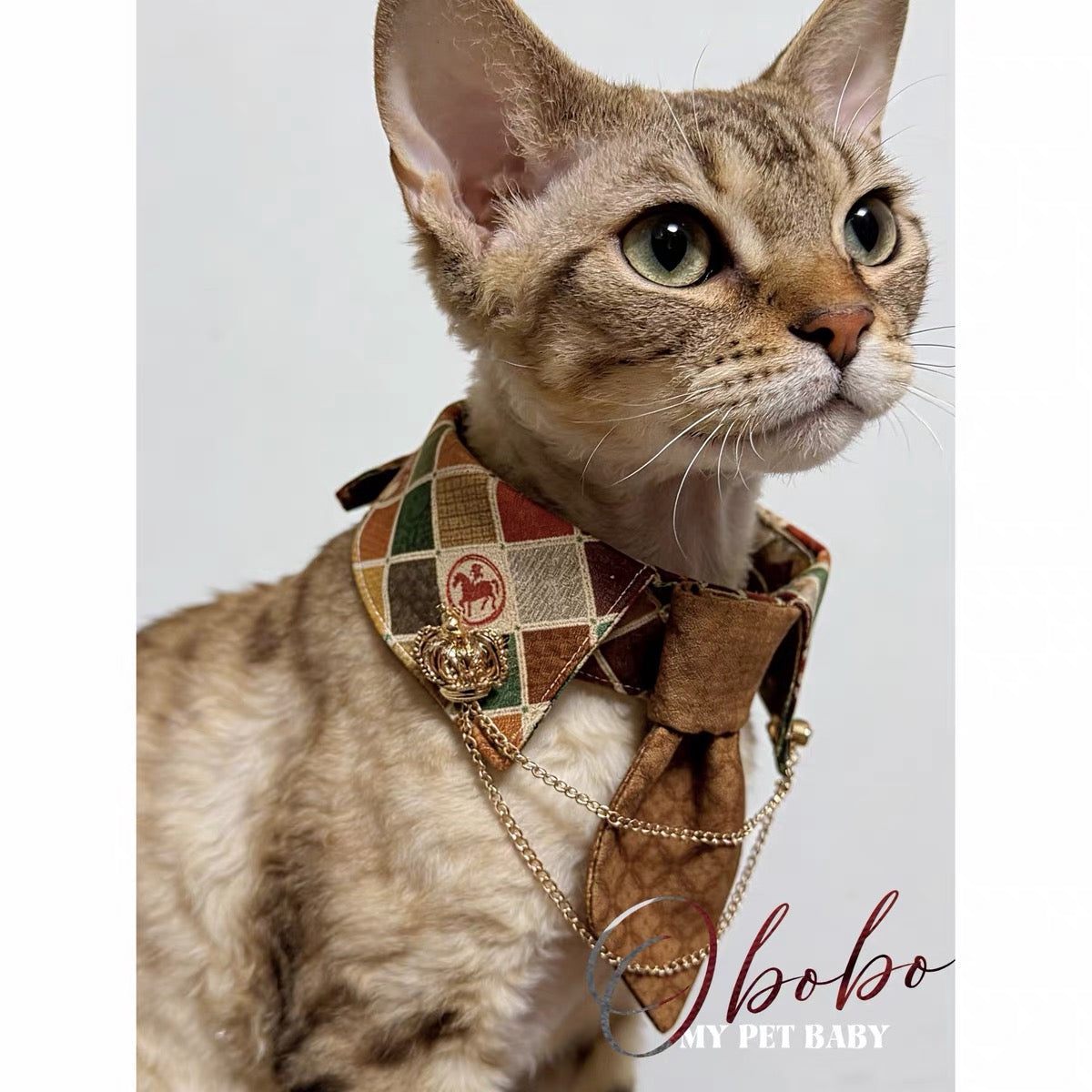 Shop the cats