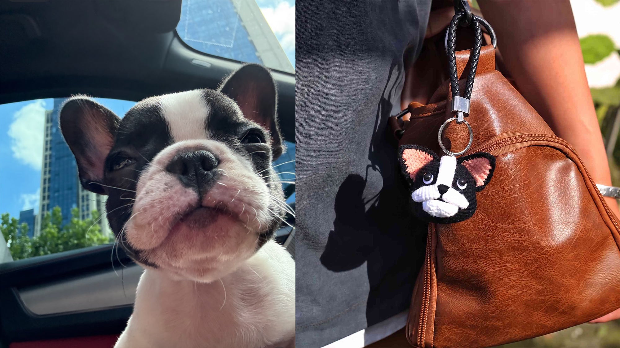 Puppy