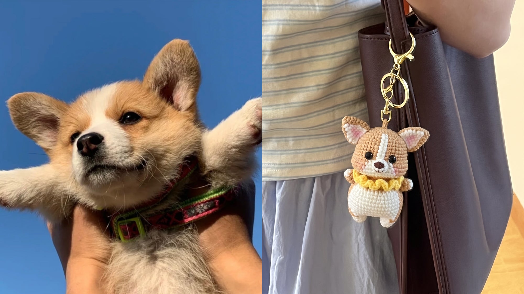 Puppy