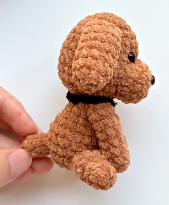 Puppy